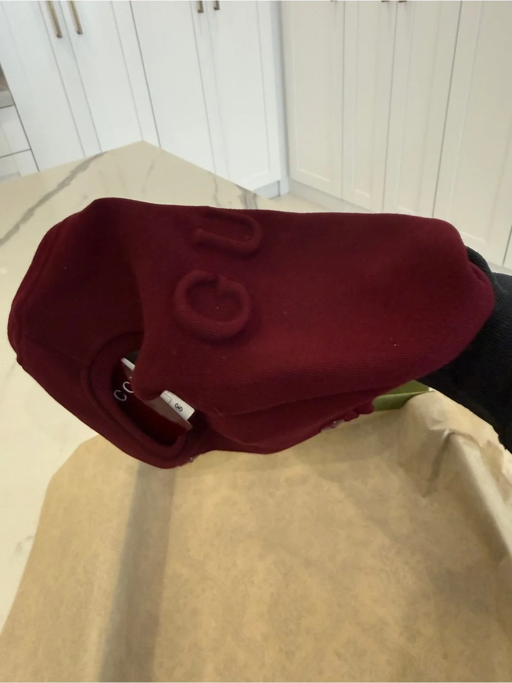Gucci Embossed Logo Cotton Dog Sweatshirt